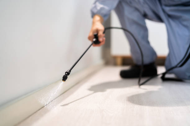 Best Termite Control Services  in Fishersville, VA