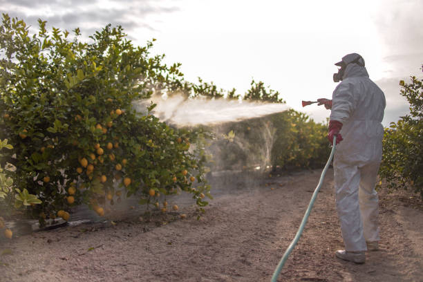 Best Pest Control Near Me in Fishersville, VA