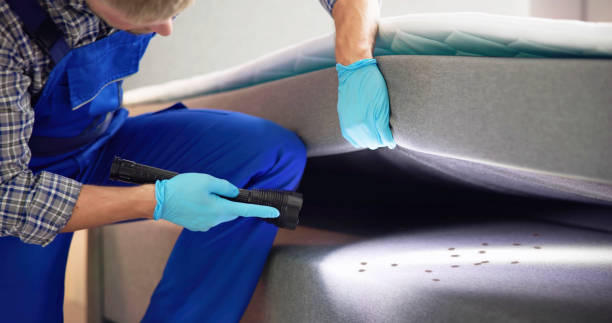 Professional Pest Control in Fishersville, VA