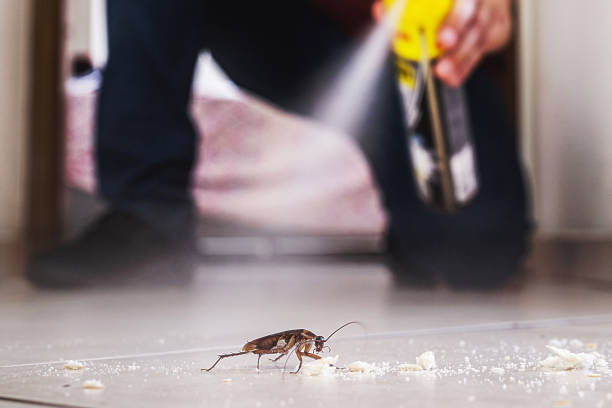 Best Affordable Pest Control Services  in Fishersville, VA