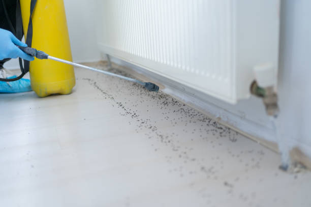  Fishersville, VA Pest Control Pros