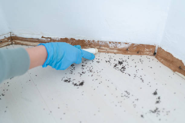 Best Pest Control Treatment  in Fishersville, VA